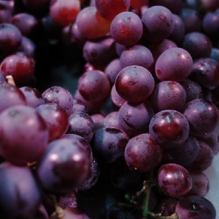 成都的特色美食有哪些